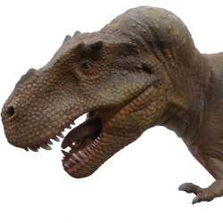ティラノサウルス
