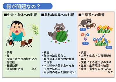 学芸員とっておき講座「栃木県の外来生物（脊椎動物）」を開催しました