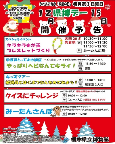 １２月県博デー予告チラシのコピー.jpg