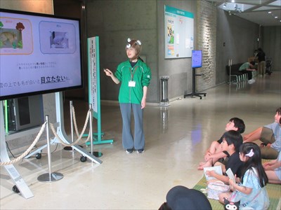 IMG_8721_R.JPG