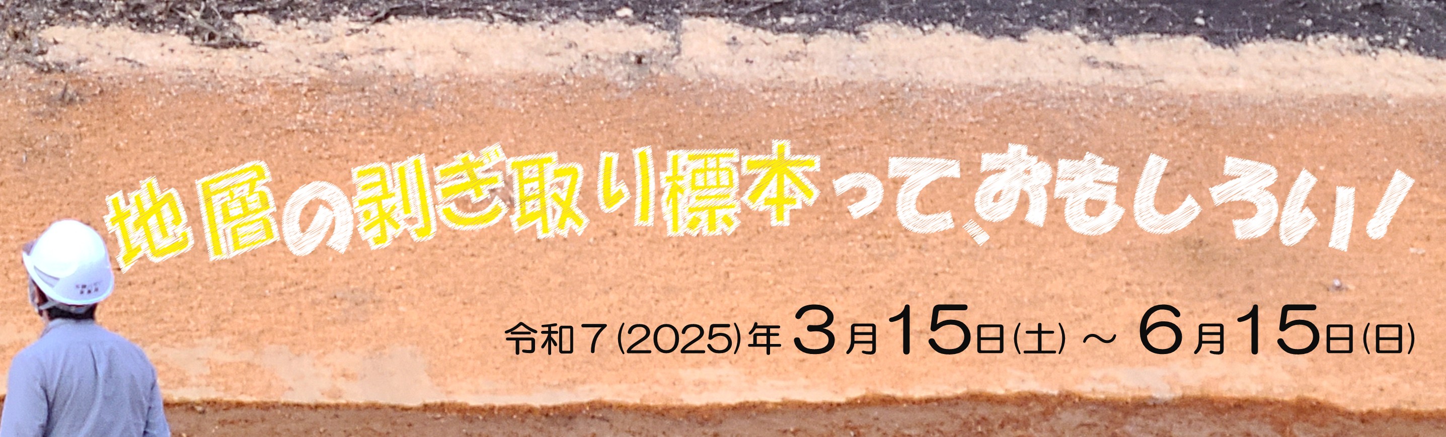 地層の剥ぎ取り標本って、おもしろい！