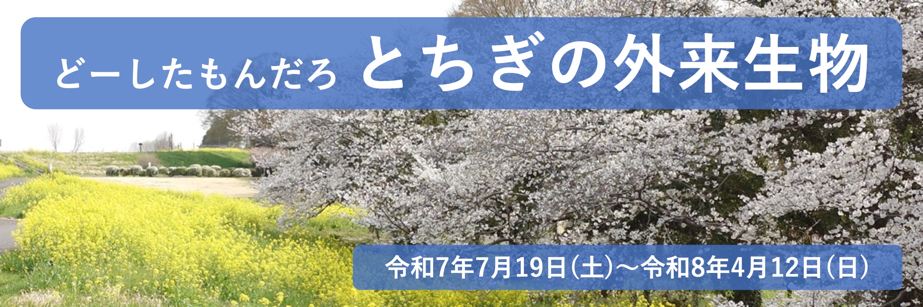 どーしたもんだろ　とちぎの外来生物
