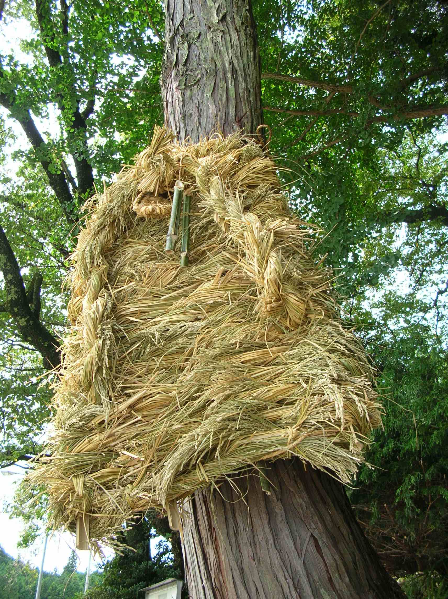 大草鞋の奉納