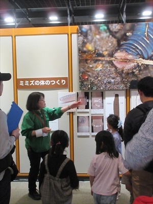 IMG_0669_R.JPGのサムネイル画像